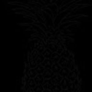 Meet your Posher, Ella